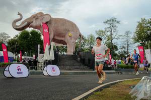 BIB: 
                            <button type="button" onclick="openModal(26528467)" class="btn btn-primary btn-sm float-right btn-popup" data-toggle="modal" data-target=".modal-high-quality">
                        <i class="fas fa-shopping-cart"></i> Add to Cart
                    </button>
                                            <button type="button" onclick="isThisMe(26528467, true)" class="btn btn-success btn-sm float-right btn-popup btn-isme hidden" data-toggle="tooltip" data-placement="bottom" title="นี่คือรูปของคุณใช่ไหม คลิกที่นี่เพื่อเอาเข้าอัลบั้ม">
                        <i class="fas fa-plus"></i> Add to album
                    </button>
                    <button type="button" onclick="isThisMe(26528467, false)" class="btn btn-warning btn-sm float-right btn-popup btn-isnotme hidden">
                        <i class="fas fa-ban"></i> Remove from album
                    </button>